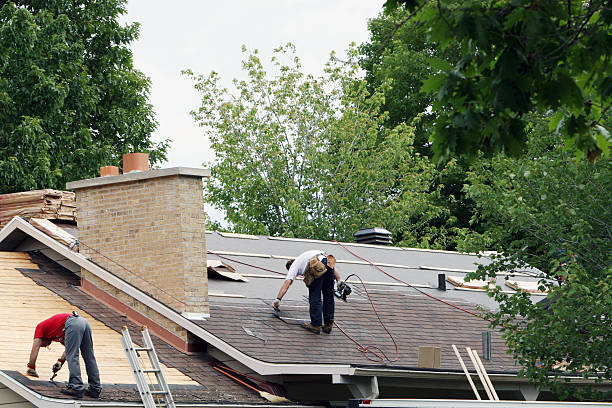 Best Metal Roofing Contractor  in Peoria, IL